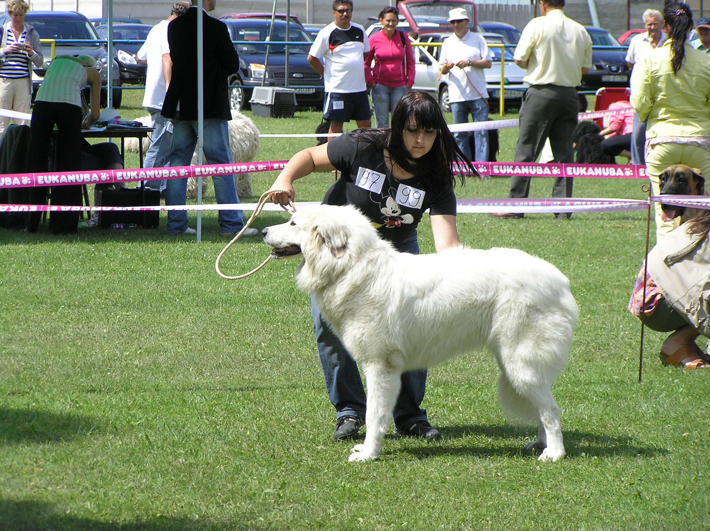 1 063.jpg