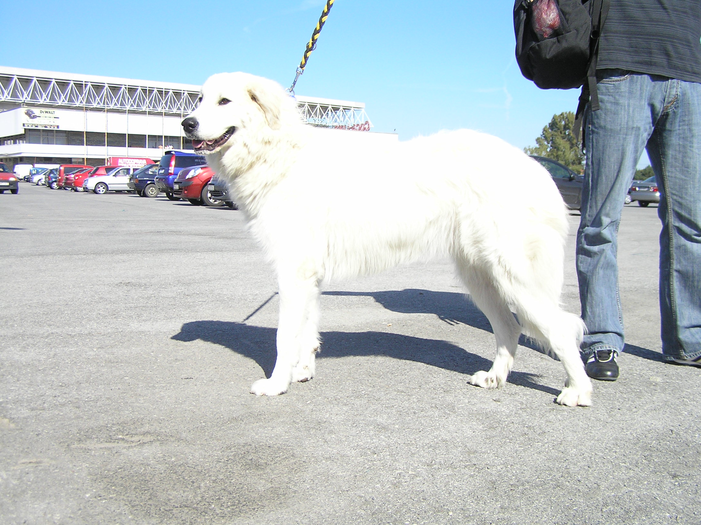 27.9.2009 068.jpg