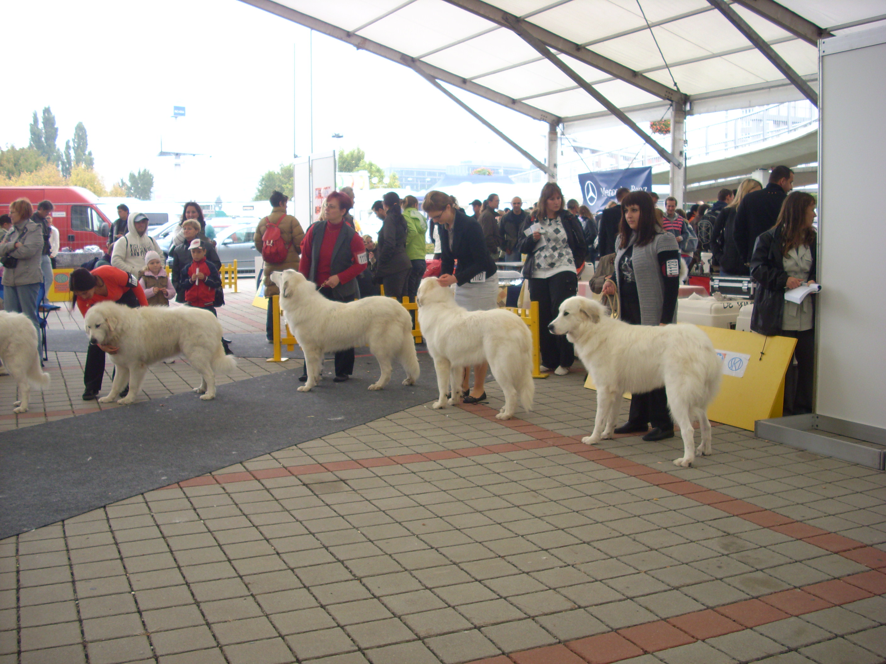 WDS 10-11.okt. 2009 447.jpg
