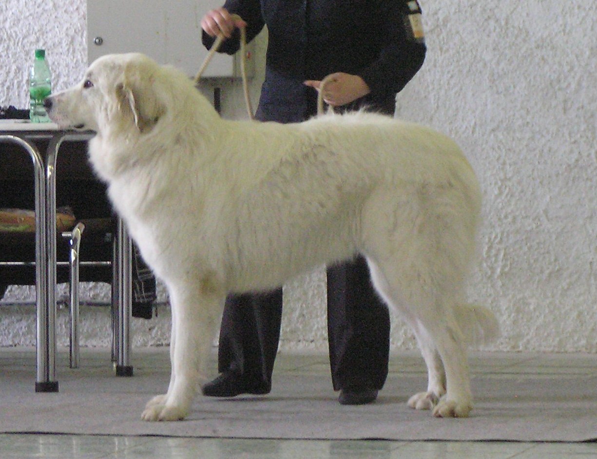 06- 186A.jpg