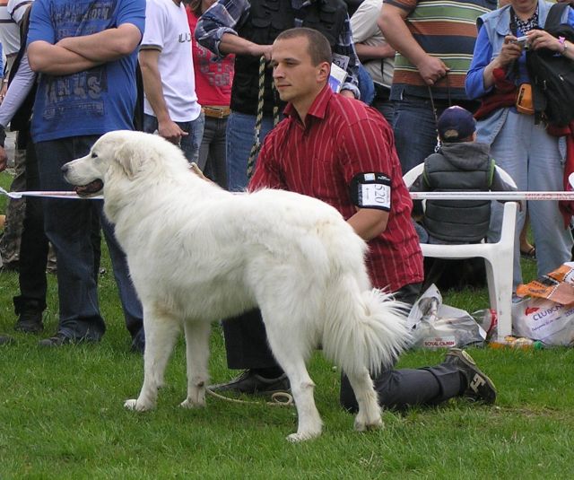 1 069a.jpg