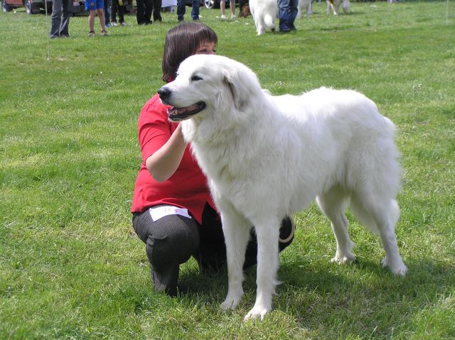 1 037.jpg