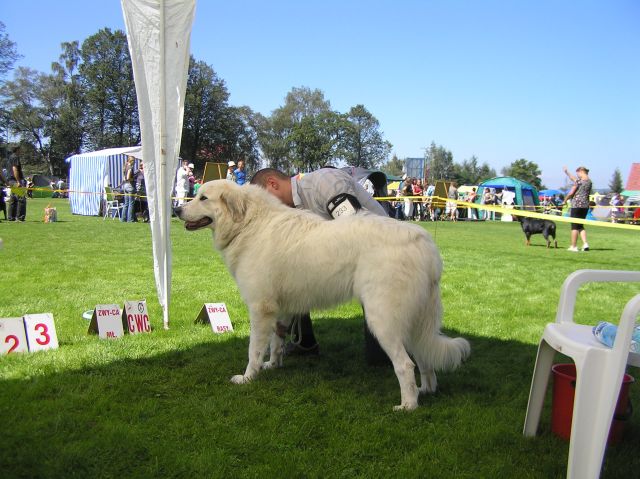 01 037.jpg