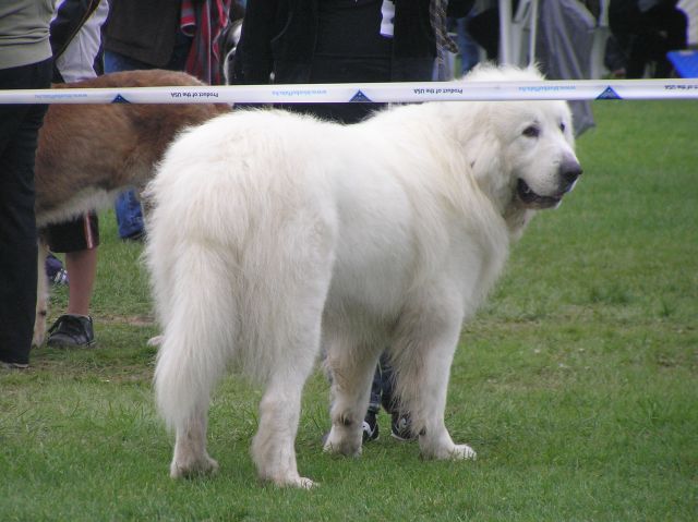001 031.jpg