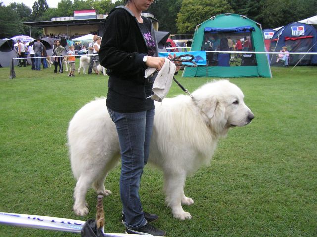 001 039.jpg