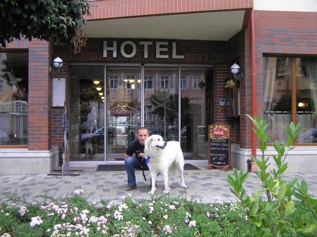 001 090.jpg