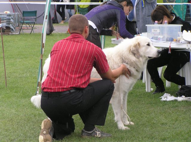 01 045.jpg