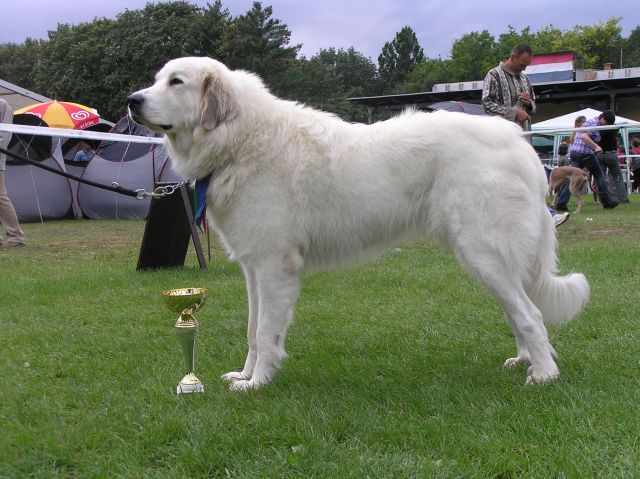 01 053.jpg