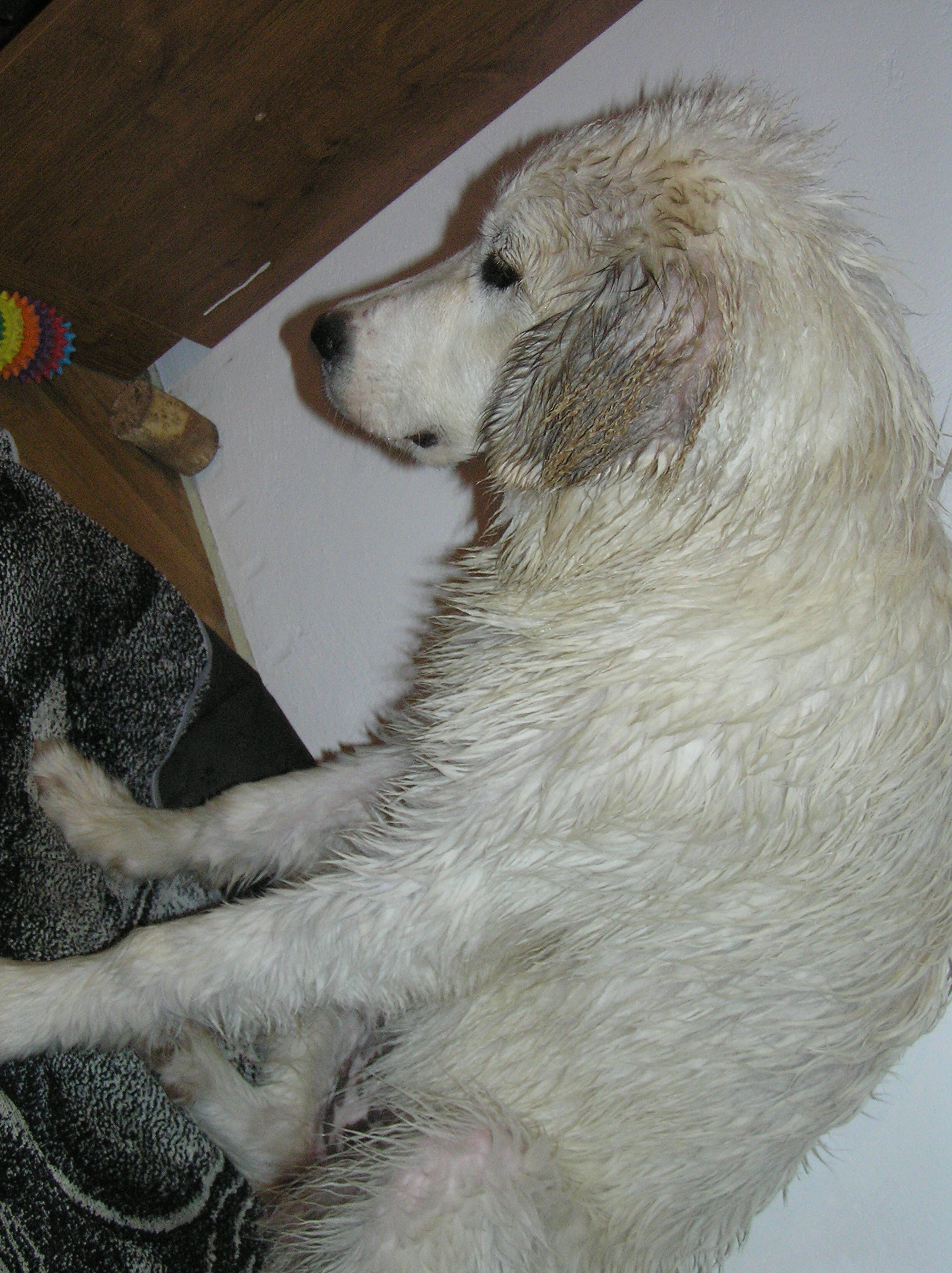 2004.JPG