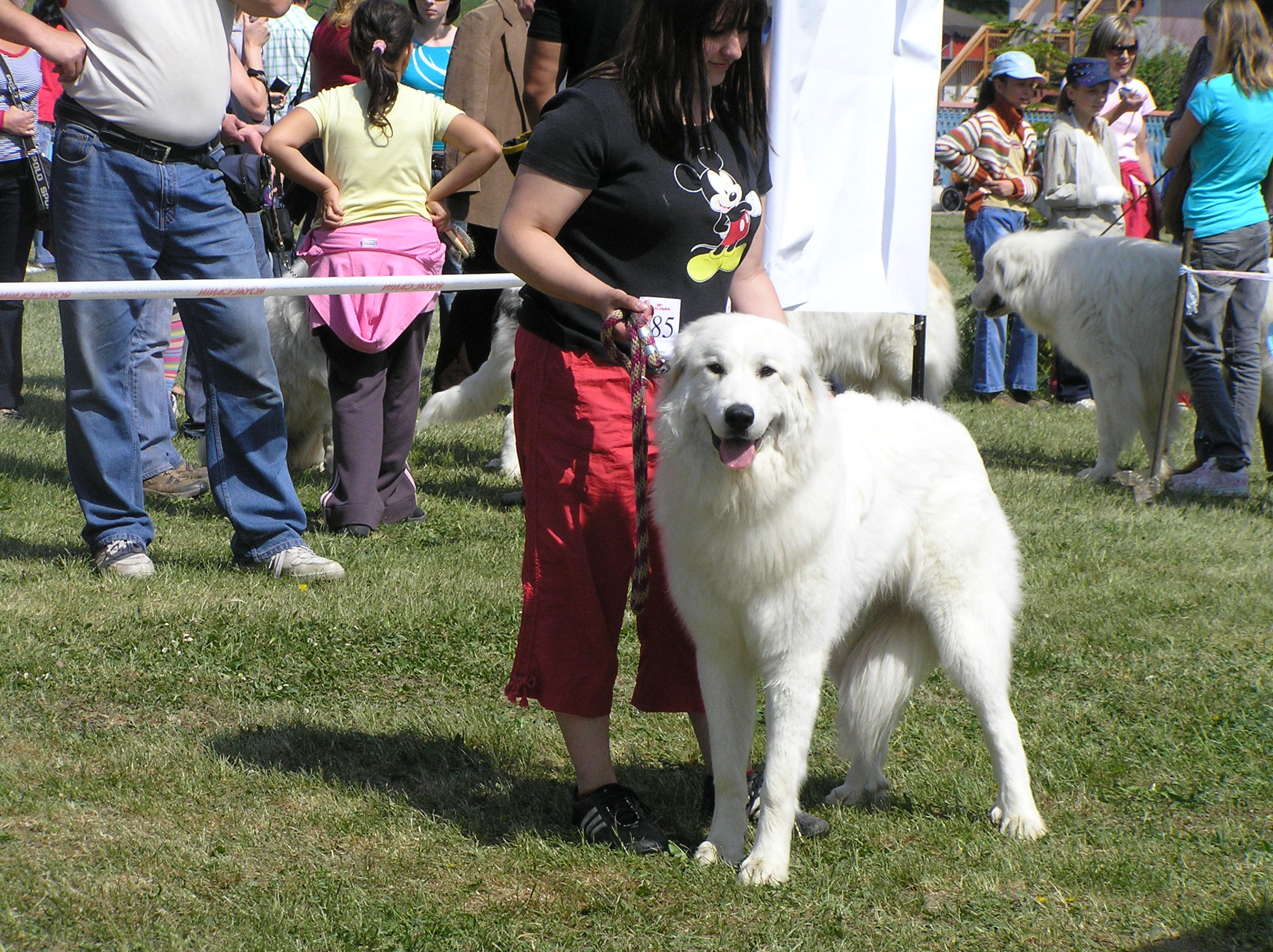 Picture 013.jpg
